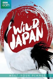 Wild Japan poster