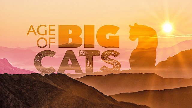 Watch Age of Big Cats Online