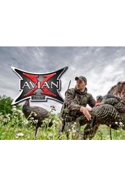 Avian-X poster