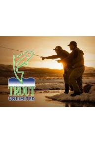 Trout Unlimited: On the Rise