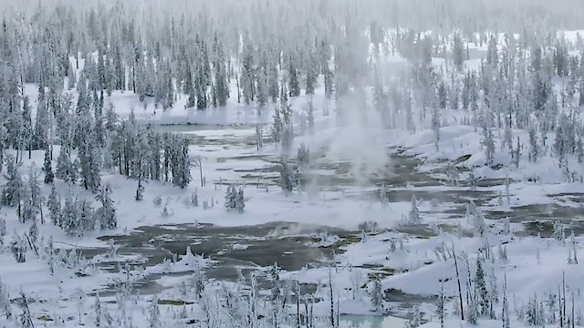 Watch Epic Yellowstone Online