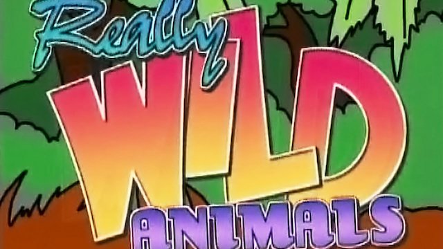 Watch Really Wild Animals Online