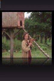 Return to River Cottage poster