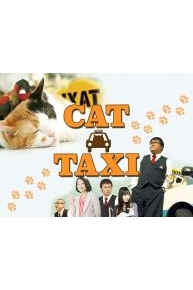 Cat Taxi