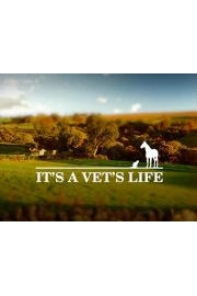 It's A Vet's Life poster