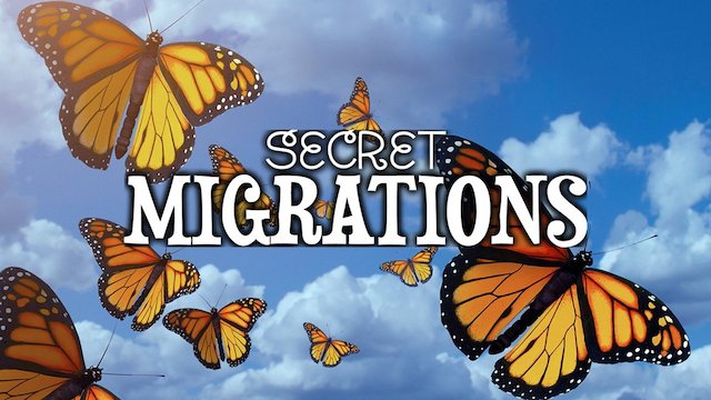 Watch Secret Migrations Online