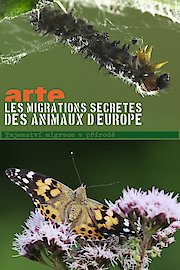 Secret Migrations poster
