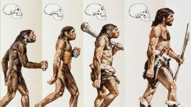 Watch The Secret History of our Evolution Online