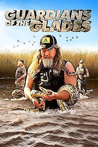 Guardians of the Glades