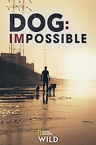 Dog: Impossible
