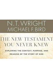 The New Testament You Never Knew poster