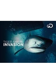 Tiger Shark Invasion poster