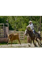 Ultimate Cowboy Showdown S1E5 poster