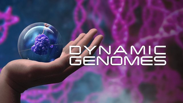 Watch Dynamic Genomes Online