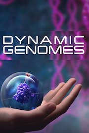 Dynamic Genomes poster