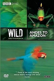 Wild South America poster