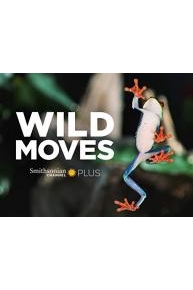 Wild Moves