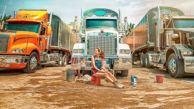 Watch The Road to Love Online