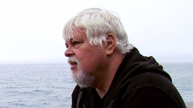 Whale Wars: Watson's Last Stand - Where To Watch TV Show