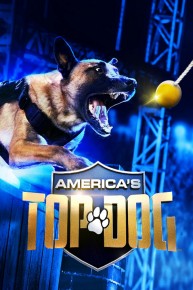 America's Top Dog