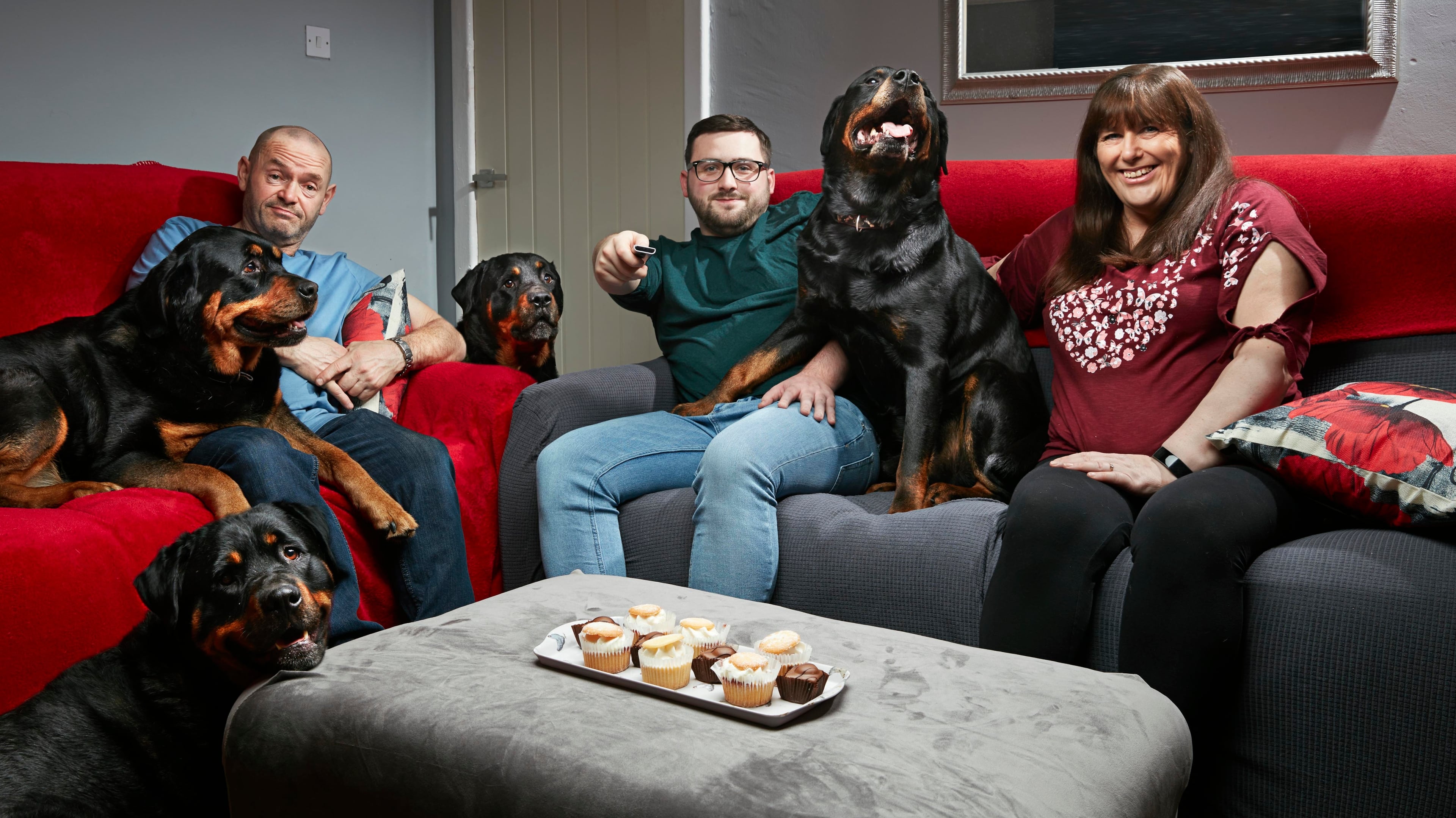 Watch Gogglebox Online