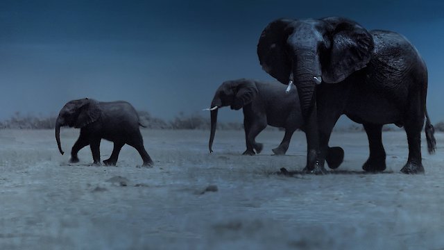 Watch Night on Earth Online