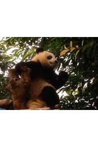 Ozie Boo! Save the Planet