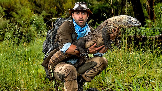 Watch Coyote Peterson: Brave the Wild Online