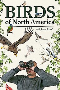 Birds of North America