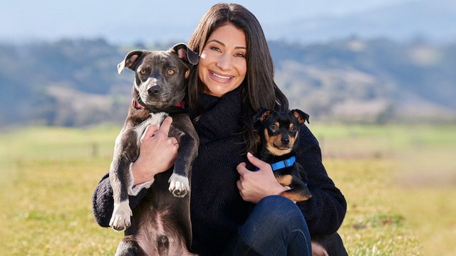 Watch Tails of Joy Online