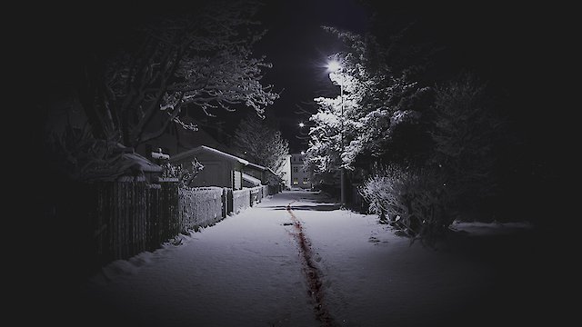Watch The Valhalla Murders Online