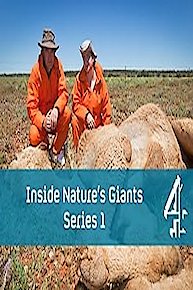 Inside Nature's Giants