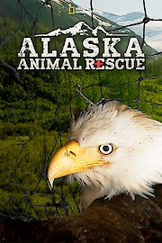Alaska Animal Rescue poster
