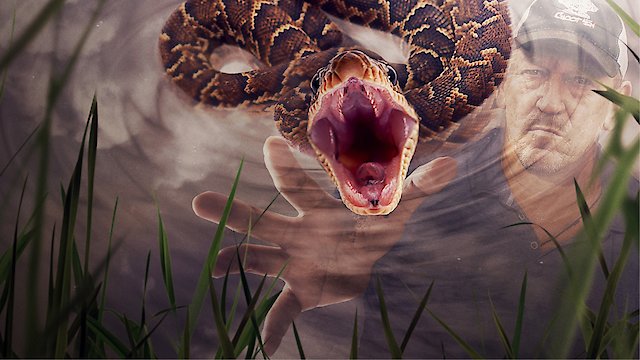 Watch Swamp People: Serpent Invasion Online