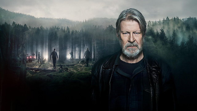 Watch The Hunters Online