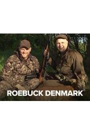 Roebuck Denmark poster