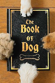 The Book of Dog poster