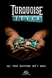 Turquoise Fever poster