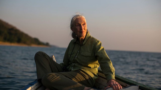 Watch Jane Goodall: The Hope Online