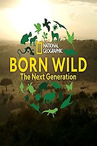 Born Wild: The Next Generation