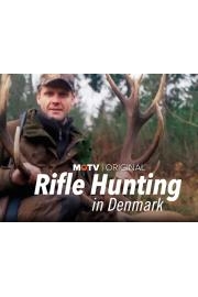 Rifle Hunting in Denmark poster