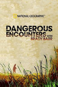 Dangerous Encounters