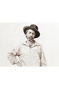 In Search of Walt Whitman