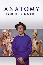 Anatomy for Beginners