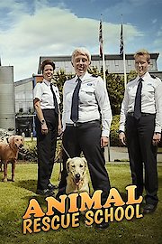 Animal Rescue School poster