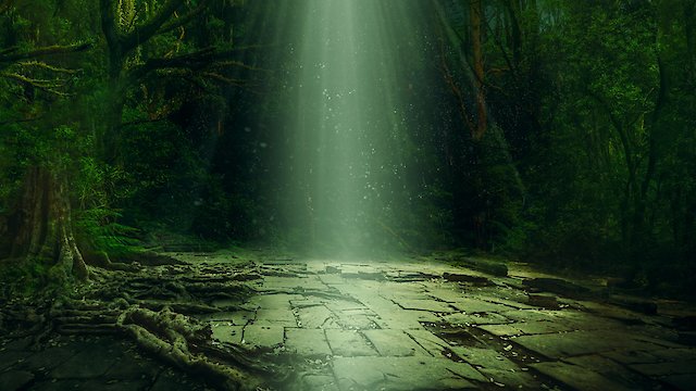 Watch Lost Cities of the Amazon Online
