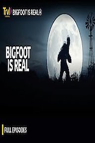 Bigfoot is Real