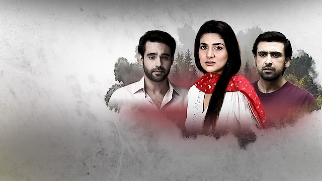 Watch Anaya Tumhari Hui Online