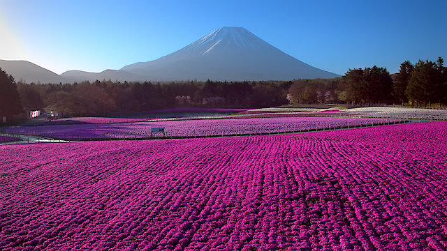 Watch Japan from Above Online