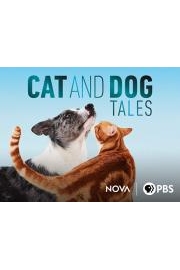 Cat and Dog Tales poster
